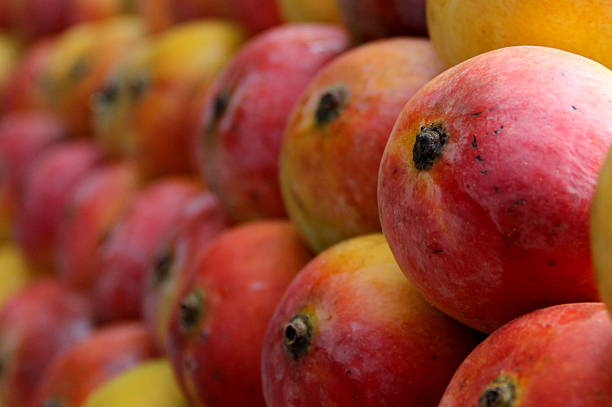 Little Orchard dried fruit — fresh mangoes